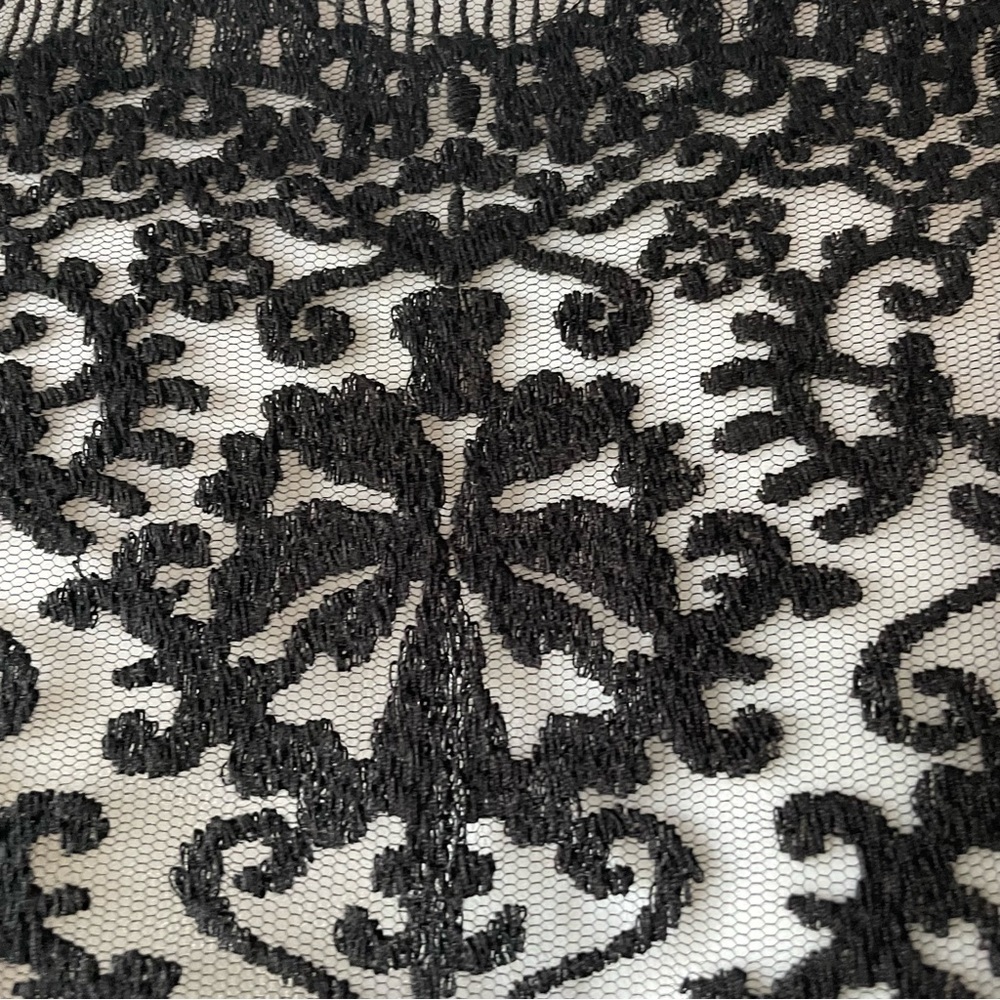 Tadashi Shoji Black Embroidered Illusion Lace Pintuck Jersey Dress Formal Gown - Picture 10 of 14